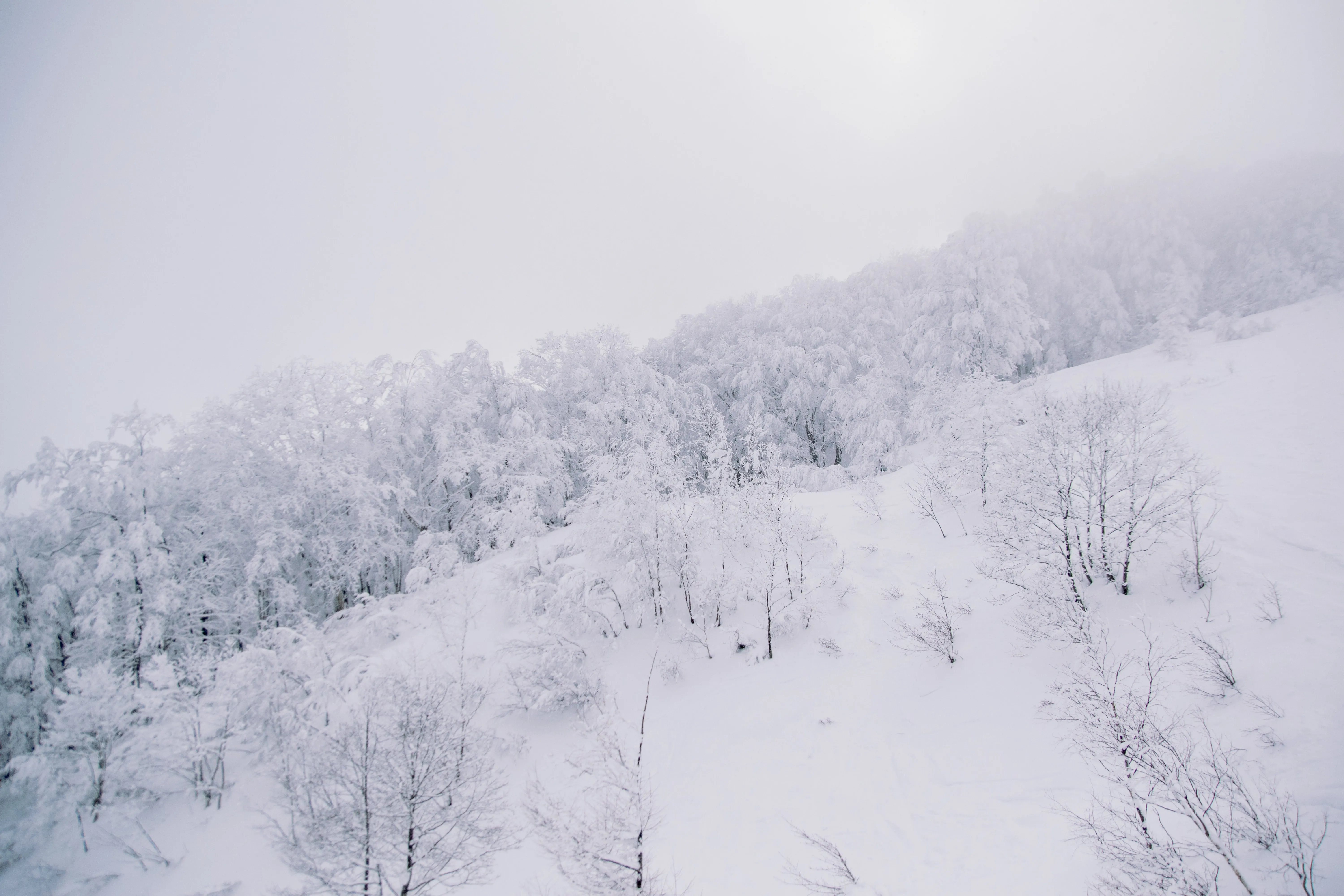 Hakuba winter